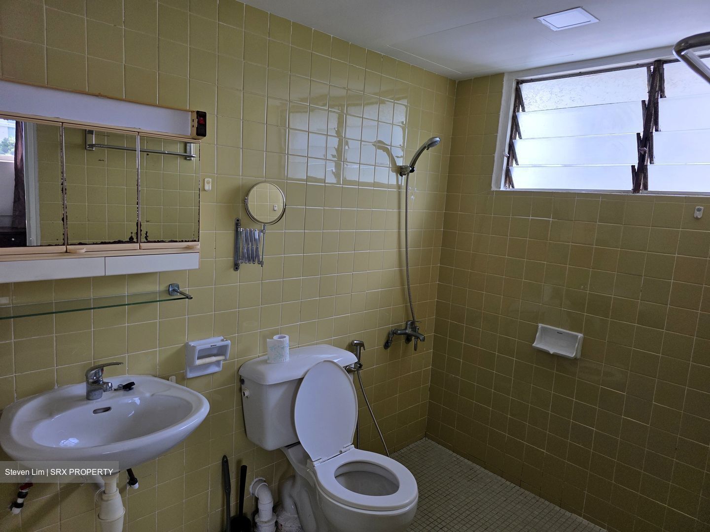 Laguna Park (D15), Apartment #595233091